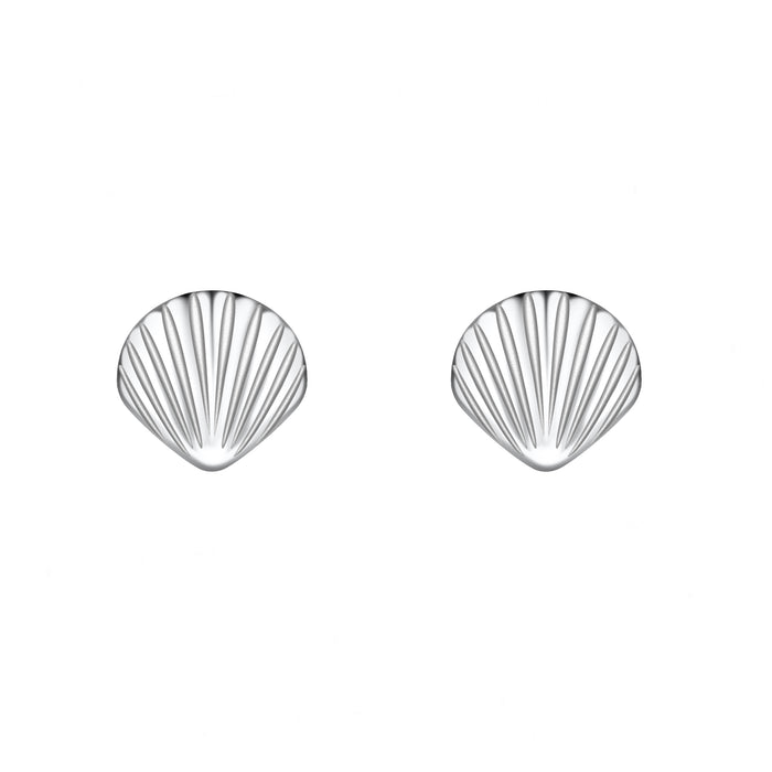 shell shaped stud earrings in silver grooves